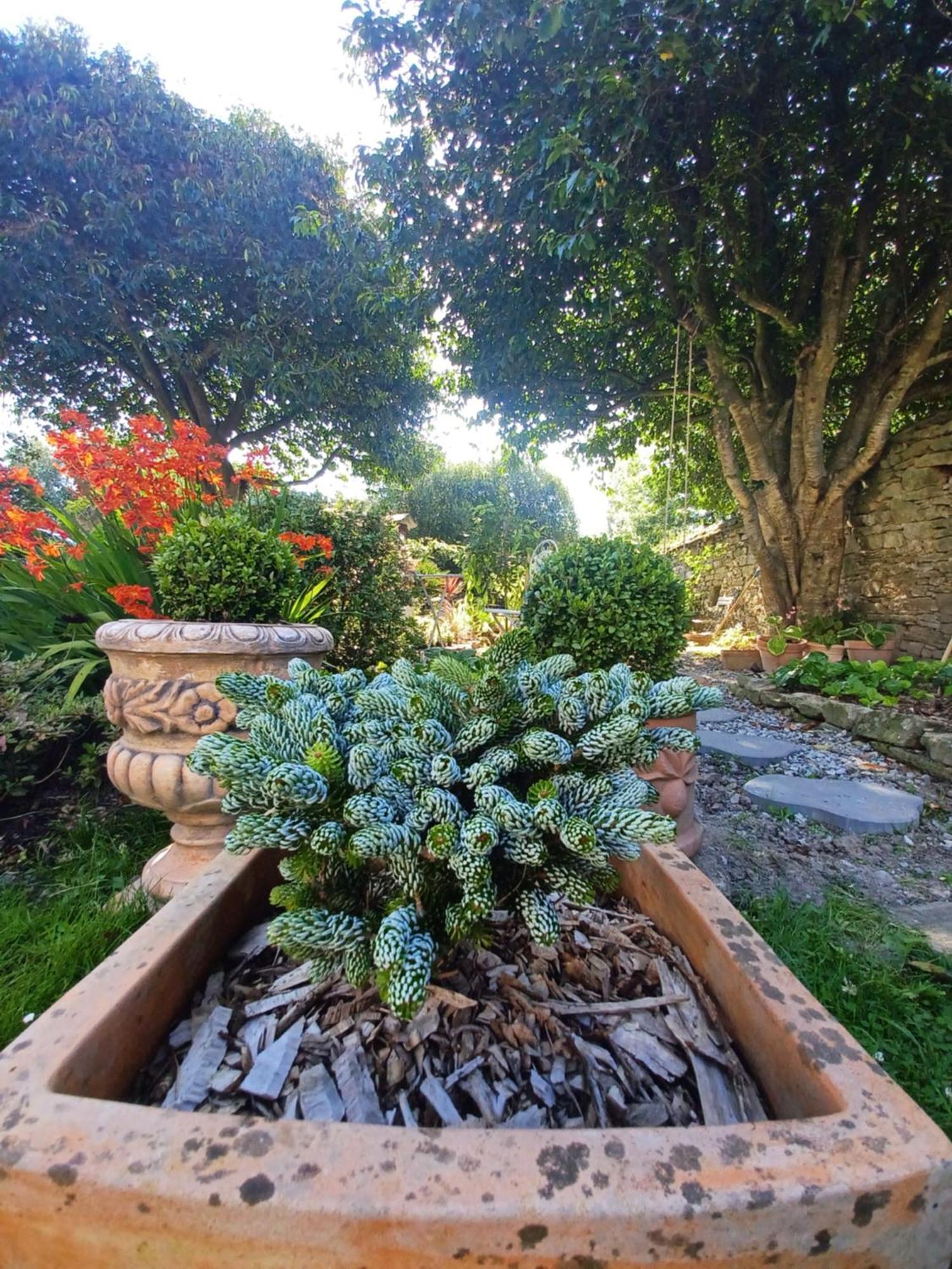 Le Banellou Bed and Breakfast Κεμπέρ Εξωτερικό φωτογραφία
